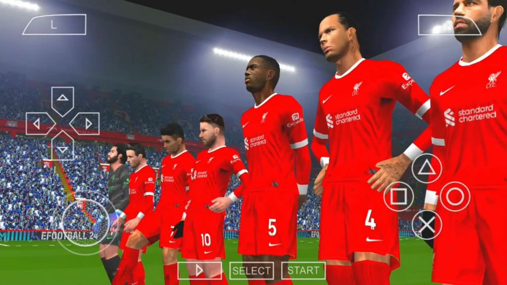 Fútbol de desarrollo profesional 6